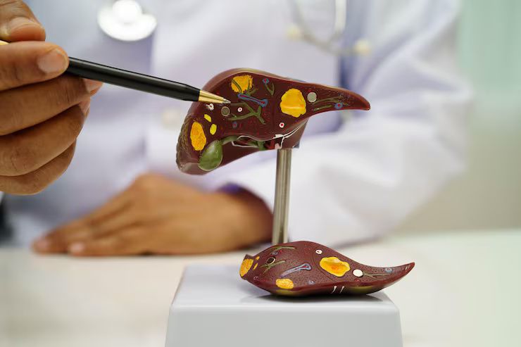 Helpful Tips to Recognize Liver Health Warnings