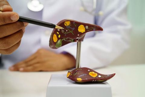 Helpful Tips to Recognize Liver Health Warnings